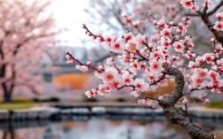 梅诗新赏，今人如何读懂古人笔下的孤傲？