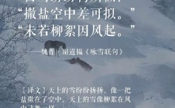 诗歌雪韵