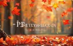 秋天的枫叶诗歌，秋天的枫叶诗歌大全