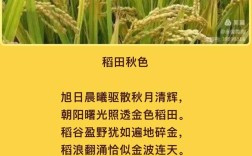 秋诗丰收，何为最美？