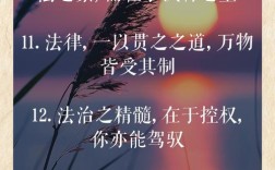 情理与法理，如何平衡？