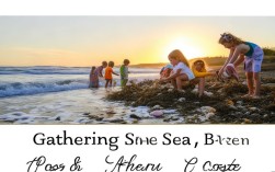 赶海诗歌，赶海诗歌中班