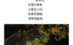 落叶诗中藏何情？