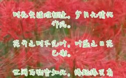 彼岸诗歌，藏着怎样的灵魂低语？