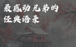 兄弟的名言名句，兄弟的名言名句大全