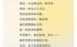 诗歌享受，诗歌享受孤独