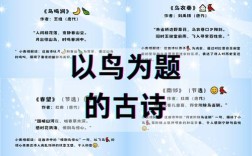 鸟的诗里藏着怎样的天空与啼鸣？