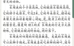 诗歌长颈鹿，诗歌长颈鹿的脖子