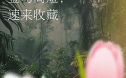 感恩祖国名人名言有哪些？