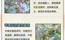 苹果花诗歌中绽放的意象，藏着怎样的春日私语与生命隐喻？