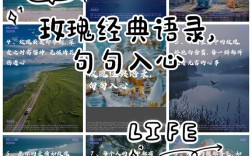 关于玫瑰的名言，关于玫瑰的名言名句