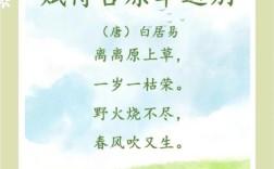 诗歌青草绿，青草绿地诗歌