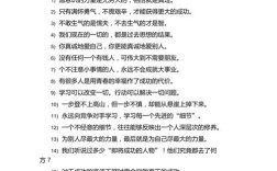 有关认真的名言警句