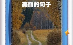 灯景的名言，灯的名句