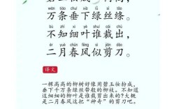 贺知章诗歌有何独特魅力？