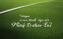 网球赛场最激励人心的名言是哪一句？