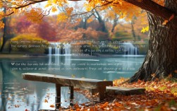 今秋诗词里，藏着多少季节的密码？