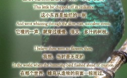 诗歌中劳伦斯的倾听之道是什么？