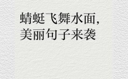 蜻蜓的名言是啥？