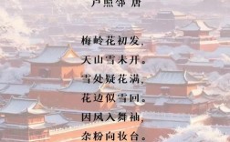 雪中梅诗歌，雪中梅的诗