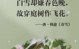 雪景诗中藏着怎样的现代灵魂？