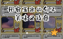 玉米人名言，藏着什么智慧？