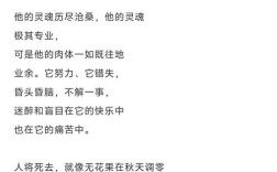 一生诗中藏着怎样的人生轨迹？