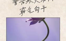 关于以暴制暴的名言，关于以暴制暴的名言警句