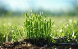 春芽诗歌新作上线,哪首最打动你?