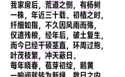 杨树诗中藏着什么秘密？