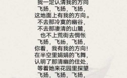 徐诗魅力何在？