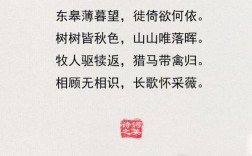 八年级诗歌如何学？