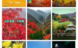 十月诗歌中藏着怎样的秋日私语与时光密码？