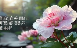 虞美人春花秋月何时了？千年名篇今何解？