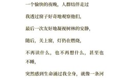 小时空诗歌，小时空诗歌是谁写的