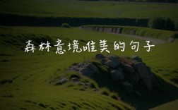 关于森林的名言警句