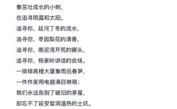 延安诗歌有何时代精神？