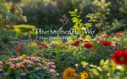 植物妈妈有办法的诗歌，植物妈妈有办法的诗歌怎么写