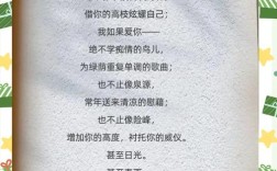 致橡树里的爱情观，为何至今仍打动人心？