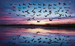 大雁诗歌新作何时来？秋日候鸟意象更新了吗？