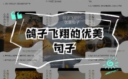 白鸽诗中藏着什么翅膀？