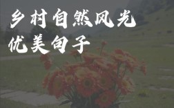 自然乡村名言，自然乡村名言名句大全