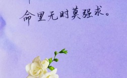 不要强求别人的名言，不该强求别人的说说