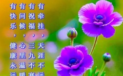 早上的诗歌，藏着怎样的晨光与心绪？