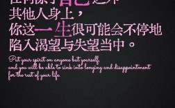 精神追求的名言有何深意？