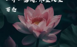 围棋落子间，藏着怎样的人生至理？