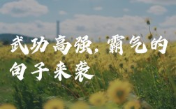 武术名言名句，有哪些经典？