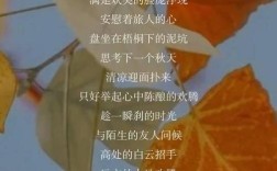 树下的诗藏着怎样的故事？