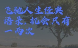 把握机会的名言名句