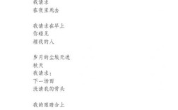 忧伤现代诗为何如此动人？